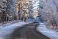 Road forest snow frost sunlight winter Royalty Free Stock Photo