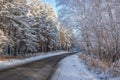 Road forest snow frost sunlight winter Royalty Free Stock Photo