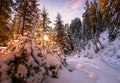 Amazing wintry landscape. Merry Christmas and Happy New Year Greeting Background. Winter Landscape with Snow and Christmas Trees