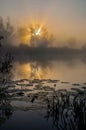 Amazingly beautiful sunrise over Lake, foggy Royalty Free Stock Photo