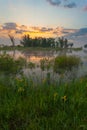 Amazingly beautiful sunrise over Lake, foggy Royalty Free Stock Photo