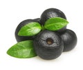 Amazon acai fruit with leaf isolated