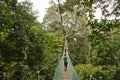 Amazon Basin Jungle, Suspended bridge between two big trees, Peru, South America Royalty Free Stock Photo