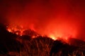 Amazon forest fire disater problem.Fire burns trees in the mountain at night Royalty Free Stock Photo