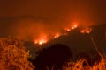 Amazon forest fire disater problem.Fire burns trees in the mountain at night