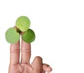 Amazon Frogbit on hand two finger Royalty Free Stock Photo