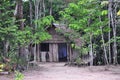 Amazon Jungle House (The Amazonia) Royalty Free Stock Photo