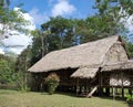 Amazon jungle lodge