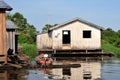 Amazon Jungle Typical Home