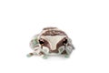 Amazon Milk Frog isolated on white Royalty Free Stock Photo