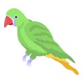 Amazon parrot icon, isometric style Royalty Free Stock Photo