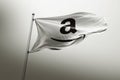 Amazon photorealistic flag editorial