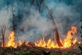 Amazon rain forest fire disaster is burning