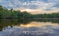 Amazon Rainforest Sunset Panorama, Ecuador Royalty Free Stock Photo