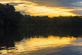 Amazon Rainforest Lagoon, Yasuni, Ecuador Royalty Free Stock Photo