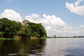 Amazon rainforest: Landscape along the shore of Amazon River near Manaus, Brazil South America