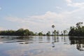 Amazon rainforest: Landscape along the shore of Amazon River near Manaus, Brazil South America Royalty Free Stock Photo