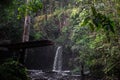 Amazon Rainforest scene with waterfall & platform to jump into the river at Presidente Figueiredo in the State of Amazonas, Brazil
