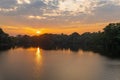 Amazon Rainforest Sunrise, Yasuni, Ecuador Royalty Free Stock Photo