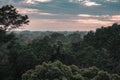 View on the Amazon rainforest during sunset Royalty Free Stock Photo