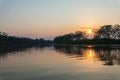 Amazon rainforest sunset during a boat trip with a reflection of the trees in the water. Puerto Francisco de Orellana. Ecuador. Royalty Free Stock Photo