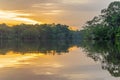 Amazon Rainforest Sunset, Yasuni, Ecuador Royalty Free Stock Photo