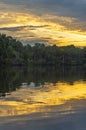 Amazon Rainforest Sunset, Yasuni, Ecuador Royalty Free Stock Photo