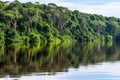 amazon river banks with dense rainforest, seen from cruise deck