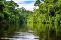 amazon river banks with dense rainforest, seen from cruise deck