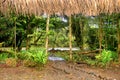 Amazon River From An Indigenous, Tribal Hut