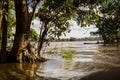 Amazon river jungle boat and trees