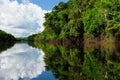 Amazon river landscape in Brazil