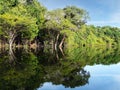 Amazon river and rain forest jungle, Brazil Royalty Free Stock Photo