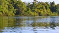 Amazon river with the speedboat between tropical jungle in Leticia, Colombia