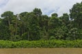 Amazon river view, Brazil, South America Royalty Free Stock Photo