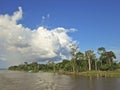 Amazon river view, Brazil, South America Royalty Free Stock Photo