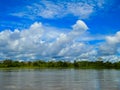 Amazon river Royalty Free Stock Photo