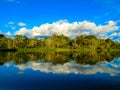 Amazon river Royalty Free Stock Photo