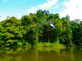 Amazon river Royalty Free Stock Photo