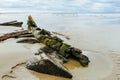 Amazon Shipwreck in Inverloch Australia