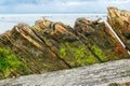 Amazon Shipwreck in Inverloch Australia