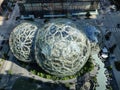 Amazon Spheres in seattle