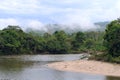 Amazon, View of the tropical rainforest, Ecuador