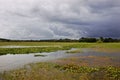 Amazonia - The Curiau APA