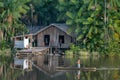 Brazilian locals living in stilt house by the Amazon River