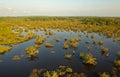 Amazonian national reserve Cuyabeno in Ecuador, wetland with lakes and ponds, river with piranas, dolphins, caymans, snakes and