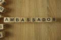 Ambassador word from wooden blocks