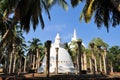 Ambasthala Stupa and Mahaseya Dagoba, Sri Lanka Royalty Free Stock Photo