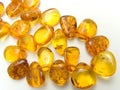 Amber Royalty Free Stock Photo