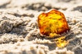 Amber on a beach of the Baltic Sea Royalty Free Stock Photo